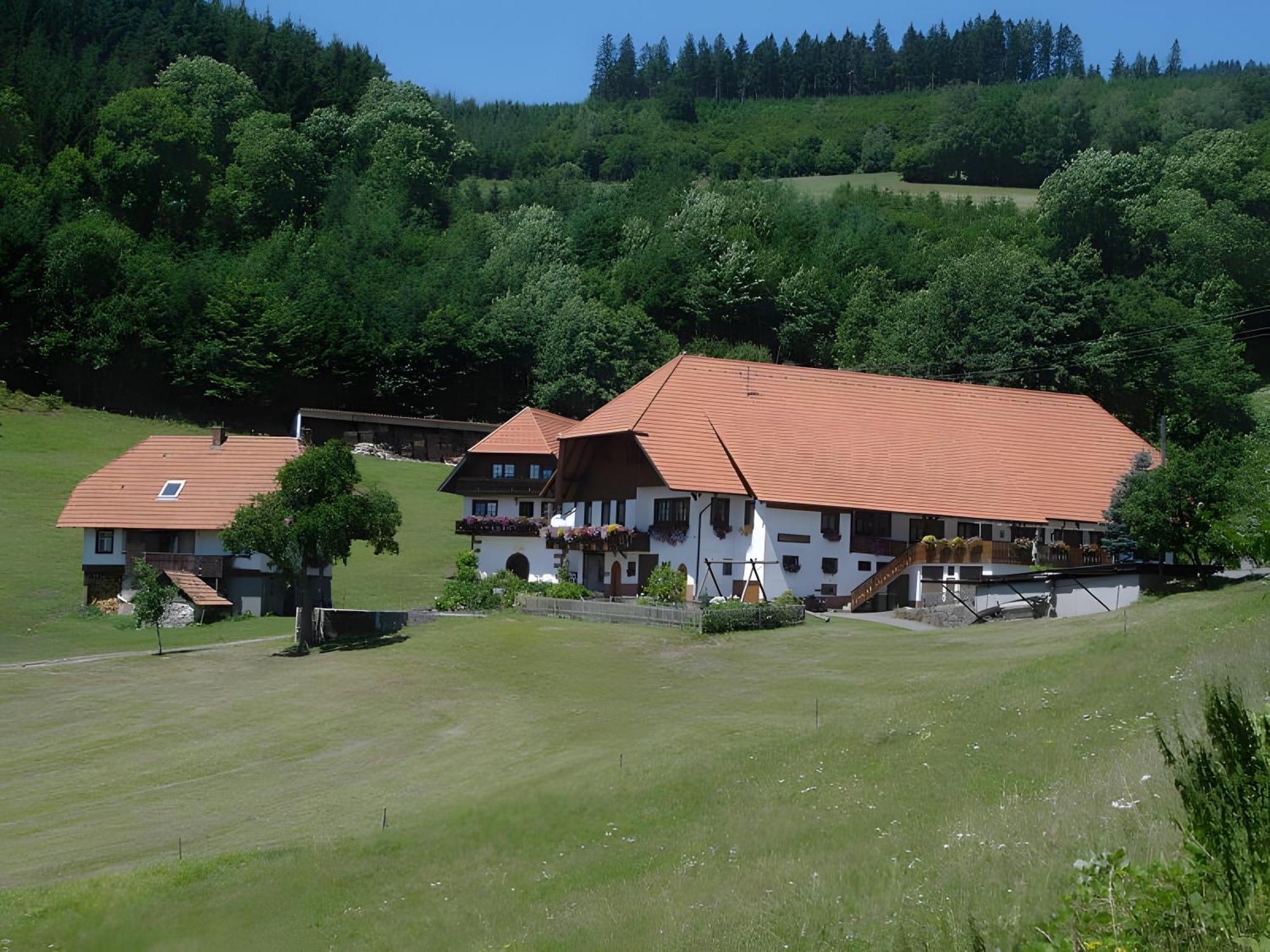 Appartement Uhlhof à Neuenbach Extérieur photo
